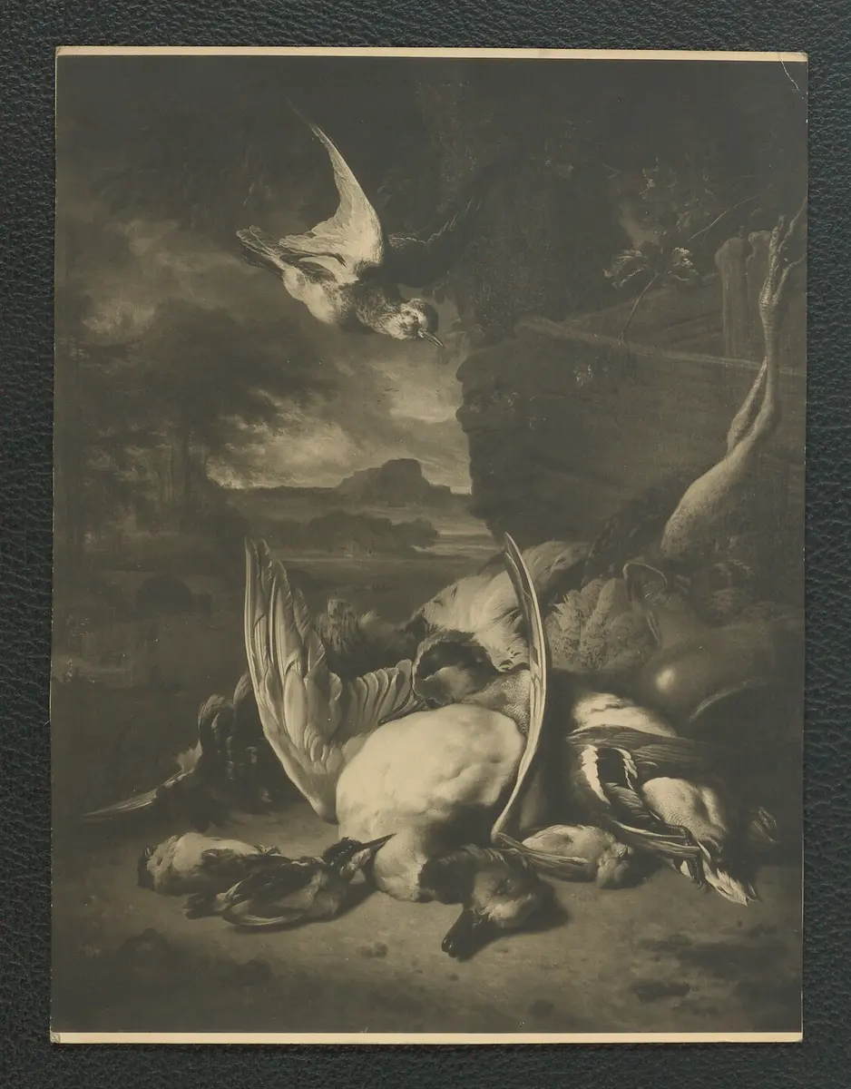 Jan Weenix: Geflügelstilleben. 94 x 72,5 cm