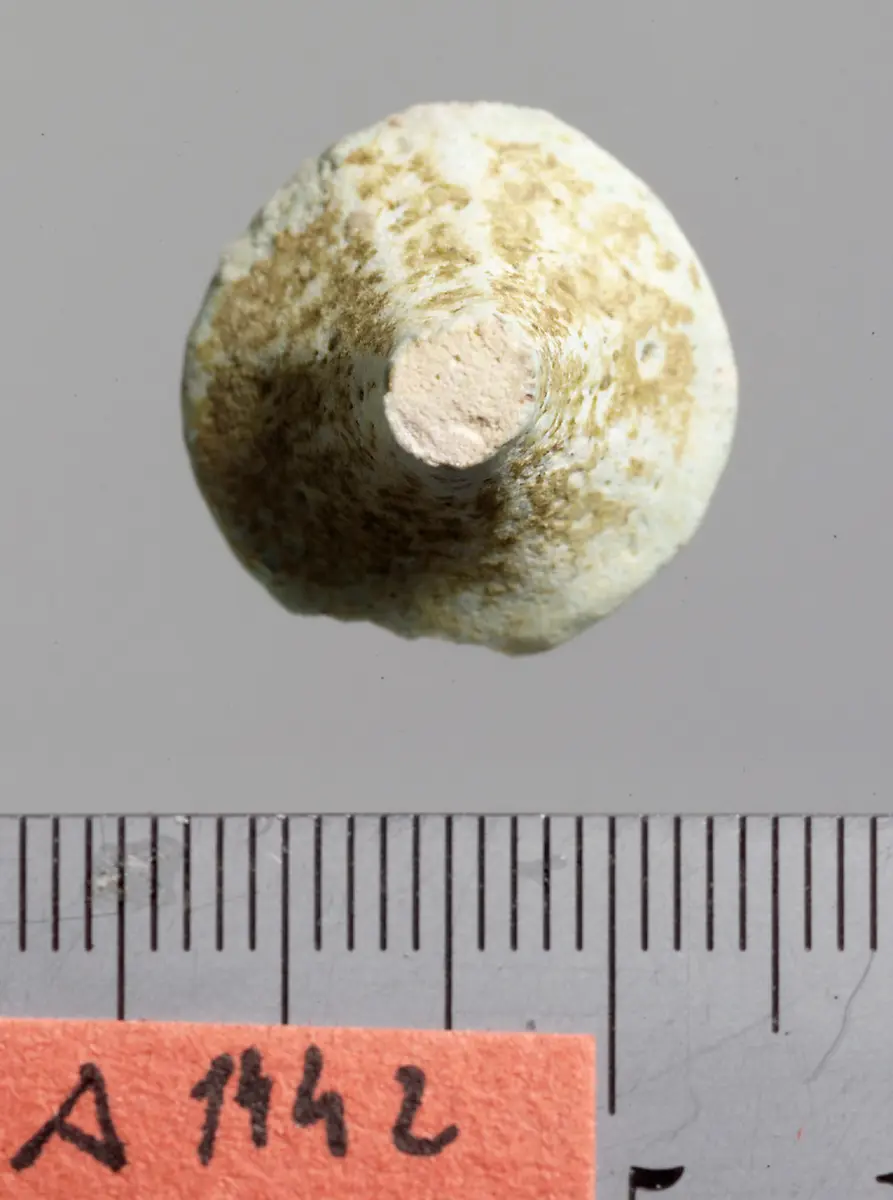 Kegelförmiger Spielstein