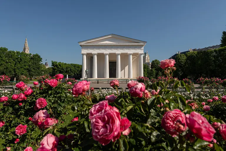 A classic white temple structure stands prominently against a clear blue sky, surrounded by vibrant pink roses in full bloom. Lush greenery surrounds the scene, adding to the tranquil garden atmosphere.