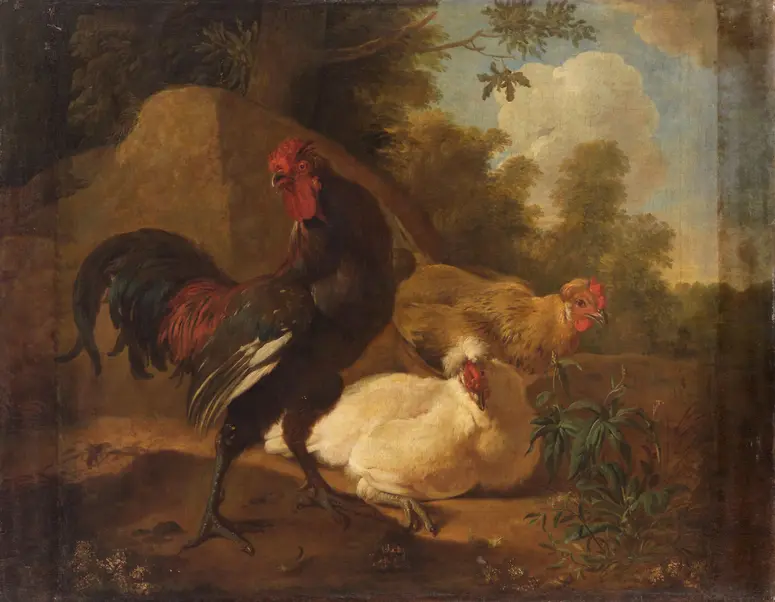 Hühner