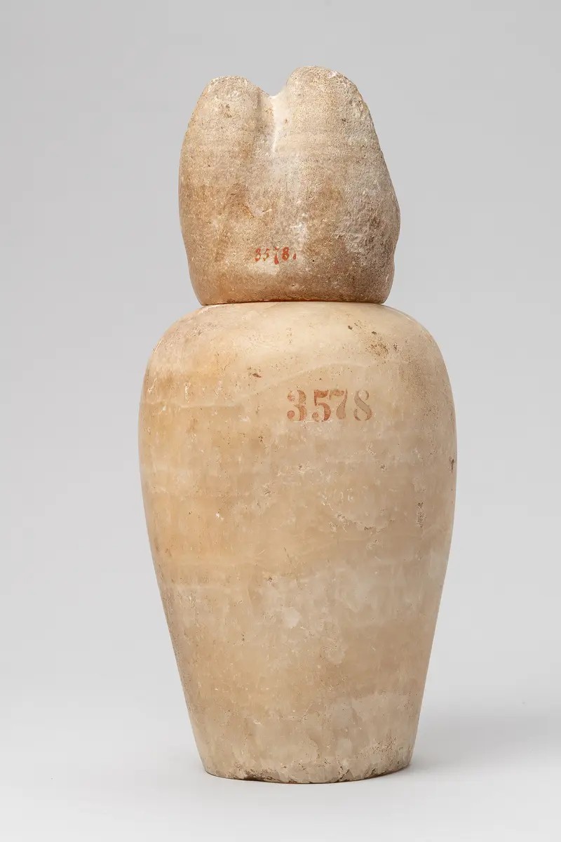 Kanope mit Deckel in Form eines Schakalkopfes