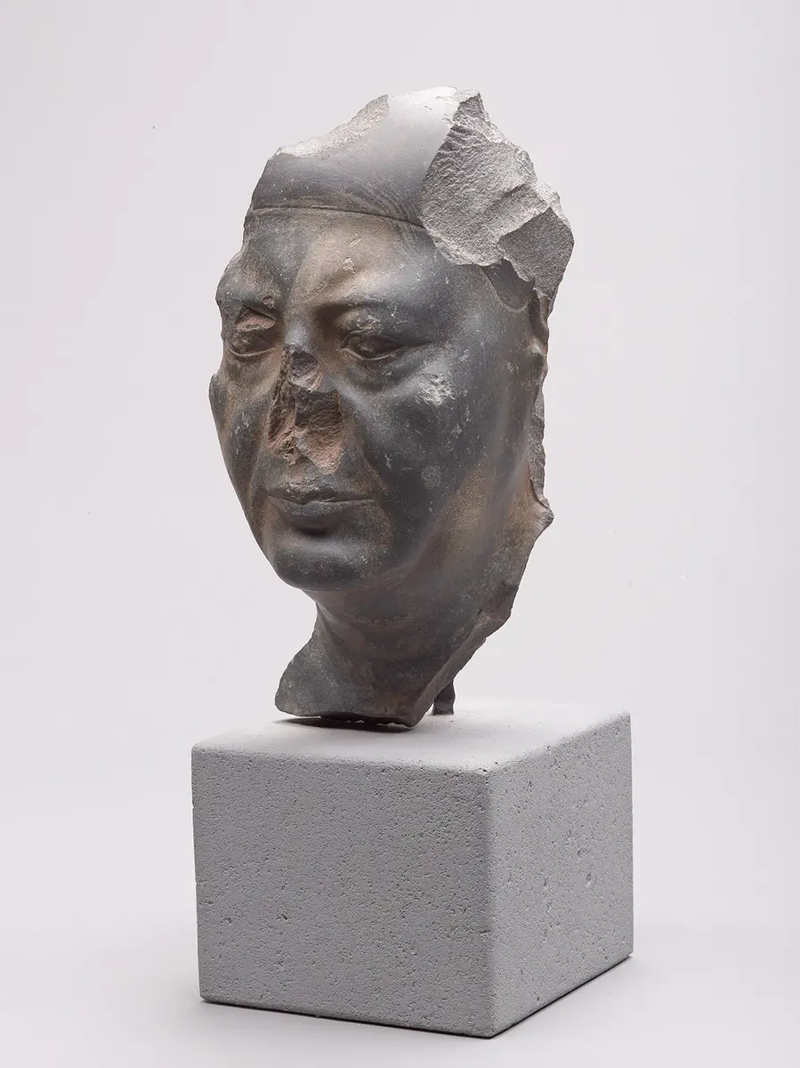 Head of an old man