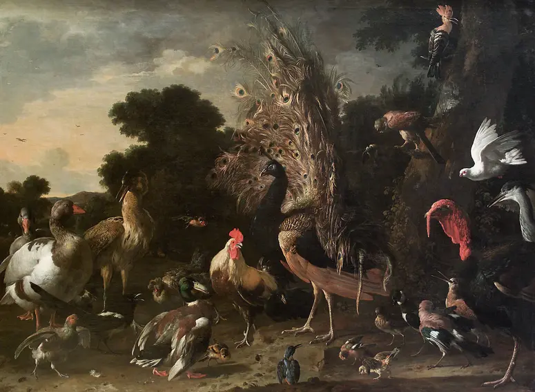 Poultry Yard