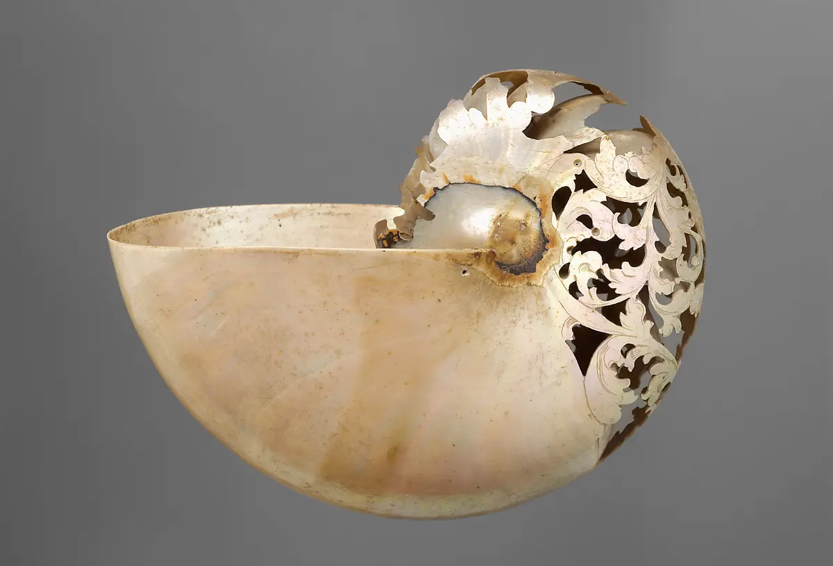 Nautilus-Gehäuse, Nautlius, Meeresschnecke, Naturalie