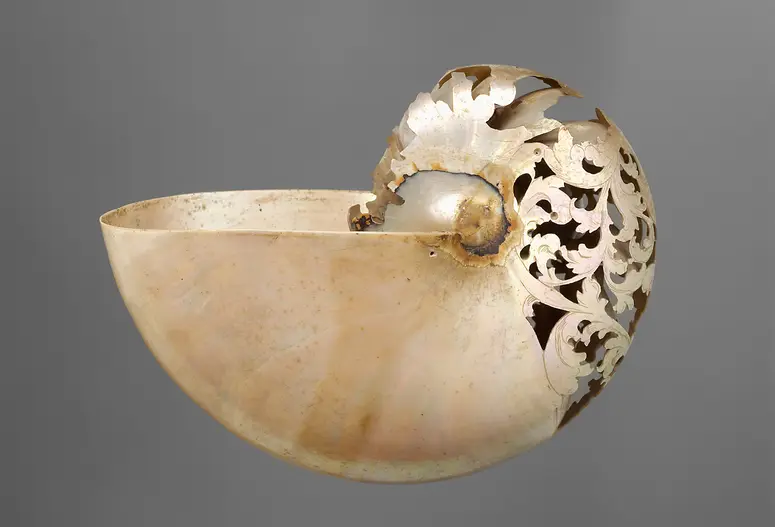 Nautilus-Gehäuse, Nautlius, Meeresschnecke, Naturalie