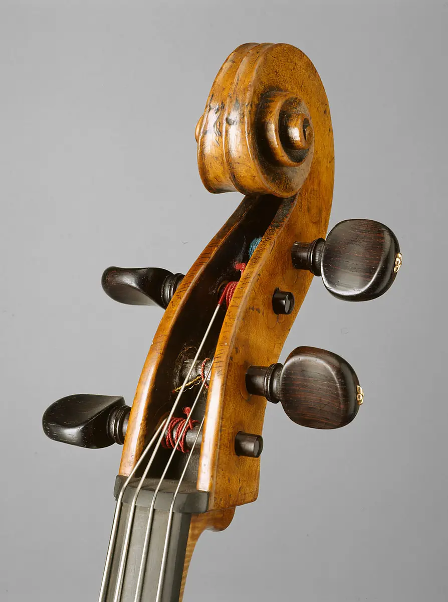 Violoncello